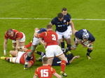FZ025485 Rugby Wales vs Scotland.jpg